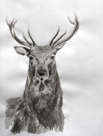 Deer by Condor Artworks