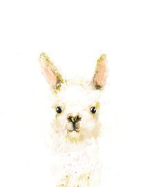 Llama Portrait von Paola Zakimi