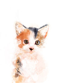 Baby Cat von Paola Zakimi