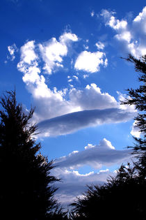 Cloud Ufo by Gitta Wick