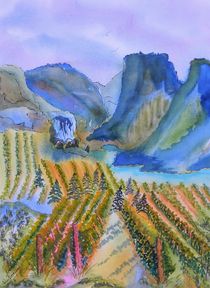 Okanagan Vineyard 2 by Warren Thompson