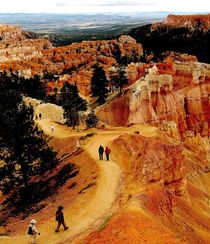 Tourists trail in Bryce Canyon by Maks Erlikh