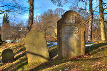  Jewish cemetery by Gina Koch