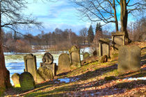  Jewish cemetery von Gina Koch