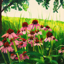 George Washington Carver coneflowers by Barry Weatherall