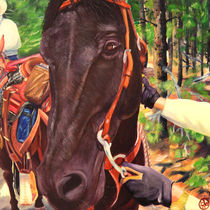Rocky Mountain Horse von Barry Weatherall