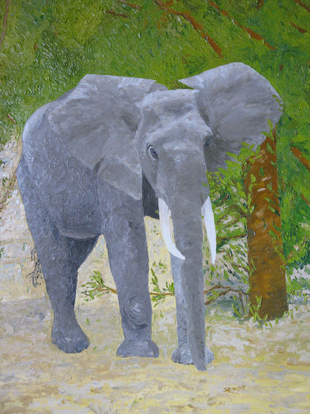 2009-02-elefant-150x100