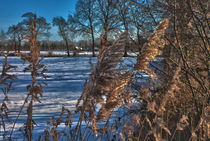 Winterlandschaft by michas-pix