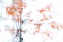 Autumn birch dancing in the wind von Intensivelight Panorama-Edition