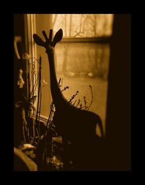 THERE'S A GIRAFFE IN MY WINDOW by mimulux