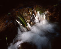 Cascade in a forest creek von Intensivelight Panorama-Edition