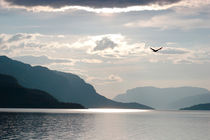 Gratangen fjord von Intensivelight Panorama-Edition