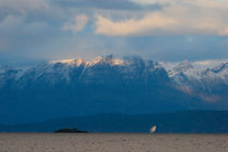 Schooner Anna Roegde cruising over a fjord by Intensivelight Panorama-Edition