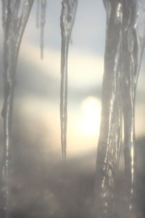 Icicles at sunset von Intensivelight Panorama-Edition