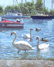 christchurch harbour swans and boats by Martin  Davey