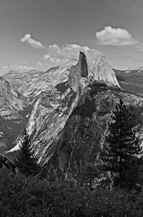 Half Dome And Yosemite Valley In Yosemite National Park by RicardMN Photography