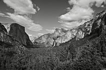 Yosemite National Park von RicardMN Photography
