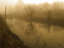 River fog by Hristo Hristov