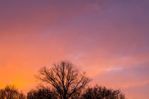 Sonnenuntergang hinter Bäumen by kunertus