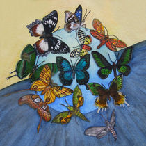 Artenvielfalt (Schmetterlinge) by Dagmar Laimgruber