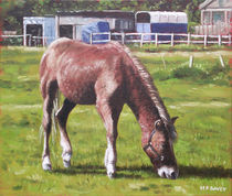 Brown Horse by Stables by Martin  Davey