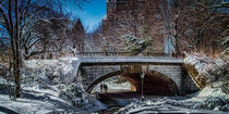 Bridge In Snow, Central Park by Chris Lord
