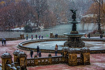 Snow Flurries In Central Park von Chris Lord