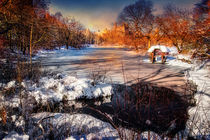 The Frozen Lake von Chris Lord
