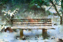Wooden bench in the Forest by Gina Koch