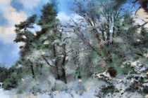 wintery landscape von Gina Koch