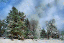 Winter Landscape von Gina Koch