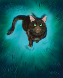 Blue Moon Cat von Barry Weatherall