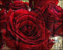 Love Roses von rosanna zavanaiu