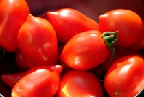 Tomatoes von Intensivelight Panorama-Edition