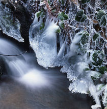 Cascade and frosty leaves by Intensivelight Panorama-Edition