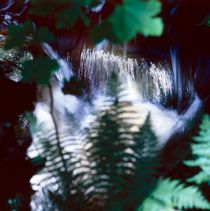 Hidden forest river cascade von Intensivelight Panorama-Edition
