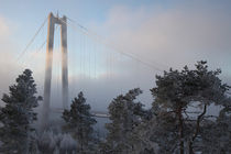 Suspension bridge in winter by Intensivelight Panorama-Edition