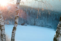 Small hut in a wintry forest by Intensivelight Panorama-Edition