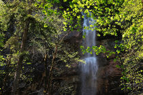 Waterfall in spring by Intensivelight Panorama-Edition