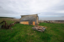 Shed at the Barents sea by Intensivelight Panorama-Edition