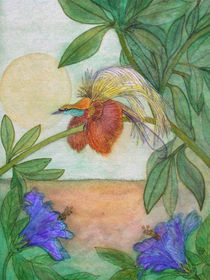 Paradiesvogel und Hibiskusblüten (bird of paradise and hibiscus flower) von Dagmar Laimgruber
