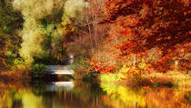 Herbst im Park by Violetta Honkisz