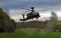 Apache In The Field by James Biggadike
