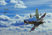 Battle in the Skies by James Biggadike