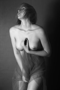 Art Nude Photography NO.10 by Falko Follert