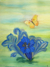 Sommertraum ( Butterfly and gentian) by Dagmar Laimgruber