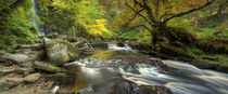Mallyan Spout and West Beck by Martin Williams