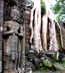Ta Prohm, Cambodia, Angkor Wat by reisemonster