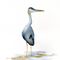 Great-blue-heron