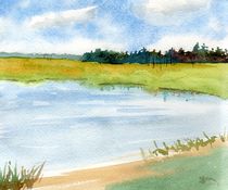 Summer Pond by Sandy McDermott